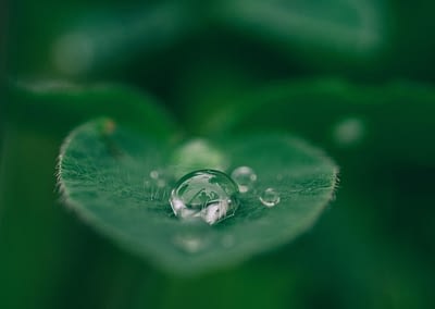 Quelques conseils après une séance d’acupuncture.